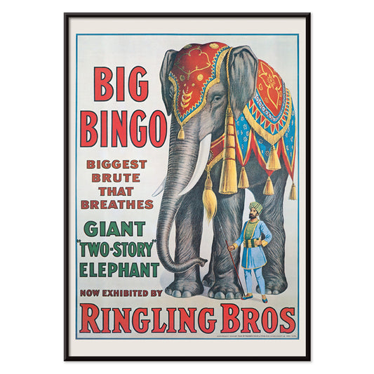 Colorful circus elephant and trainer poster artwork featuring Big Bingo a decorated giant elephant and circus keeper with vibrant circus themed graphics, with black aluminium frame on white background