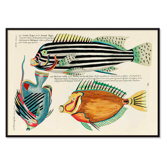 Colourful surreal illustrations of Moluccas and East Indies fishes by Louis Renard from Histoire naturelle des plus rares curiositez de la mer des Indes vibrant aquatic life poster, with black aluminium frame on white background