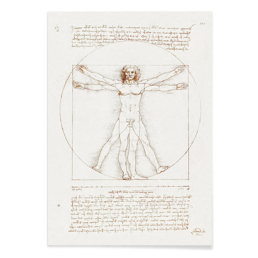 Vitruvian Man by Leonardo da Vinci human figure anatomical study with outstretched arms and legs inside circle and square geometric shapes artwork poster, with black aluminium frame on white background