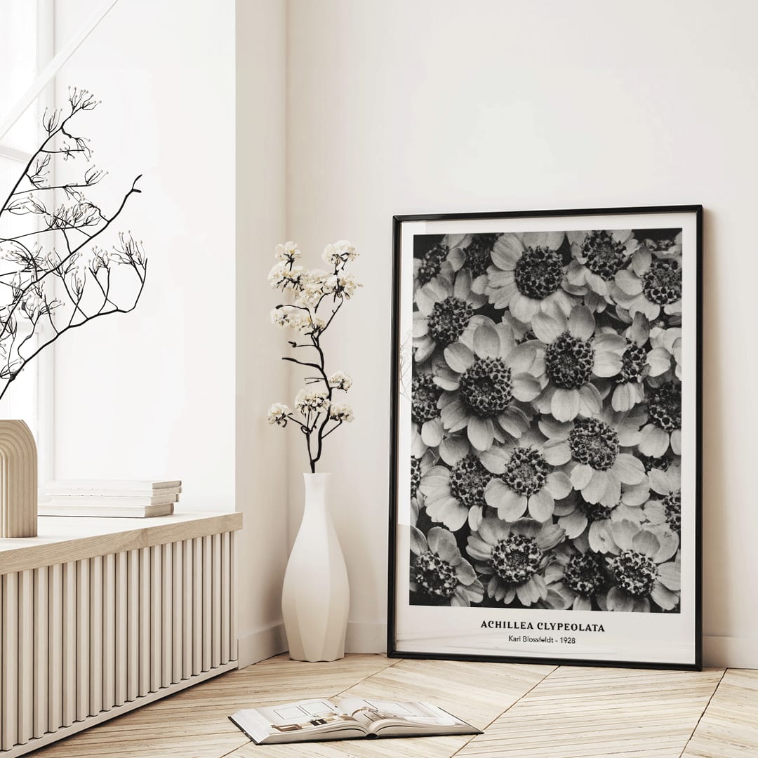 , framed and displayed in home decor