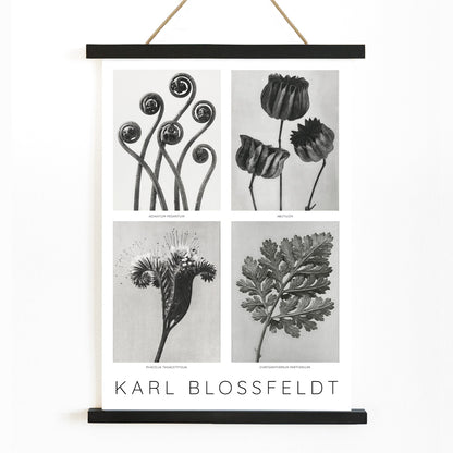 , with wooden magnetic frame on white background