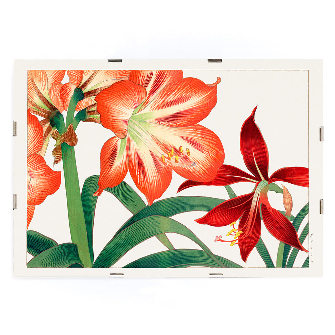 , framed and displayed in modern living room decor