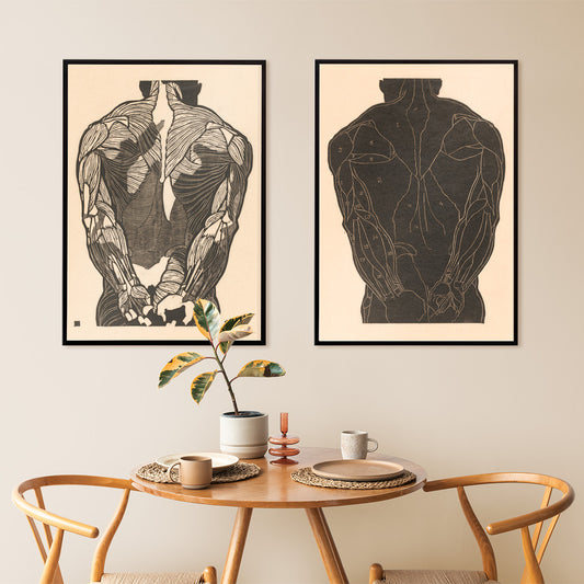 Detailed anatomical illustration of human back muscles artwork titled Back Muscles by Reijer Stolk with intricate linework, framed and displayed in home decor
