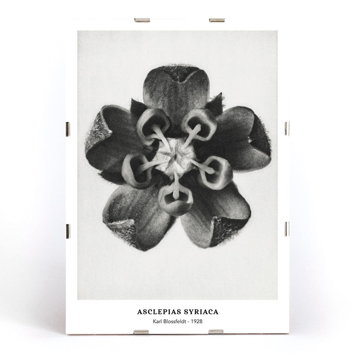 , framed and displayed in modern living room decor