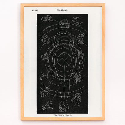 Closeup detail of Astrological human body diagram and poster with zodiac signs planets and symbols by Hiram Erastus Butler from Solar Biology