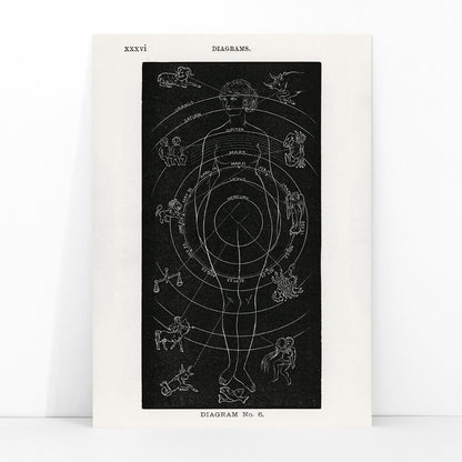 Astrological human body diagram and poster with zodiac signs planets and symbols by Hiram Erastus Butler from Solar Biology, framed and displayed in modern living room decor