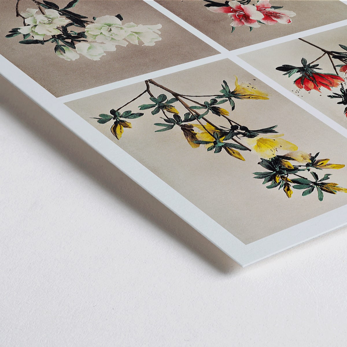 Closeup detail of Hand colored collotype artwork of vibrant azalea flowers by Kazumasa Ogawa poster featuring various azaleas