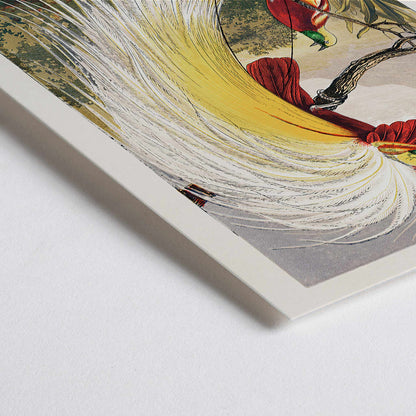 Closeup detail of Bird of Paradise by Benjamin Fawcett vibrant colorful exotic birds with ornate feathers perched on a branch in a lush paradise landscape poster