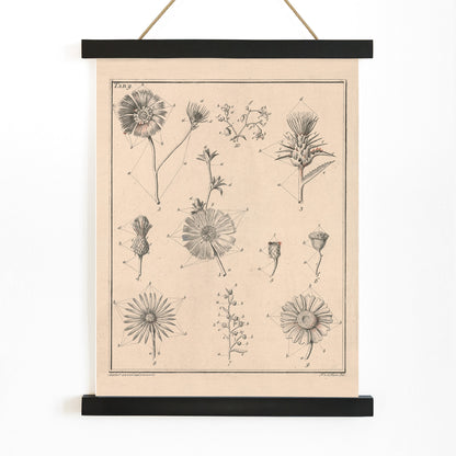 Botanical flower illustration poster by Noach van der Meer featuring detailed sketches of various species from Flowers Tab 9, with wooden magnetic frame on white background