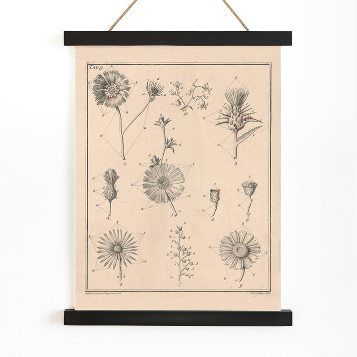 Botanical flower illustration poster by Noach van der Meer featuring detailed sketches of various species from Flowers Tab 9, with wooden magnetic frame on white background