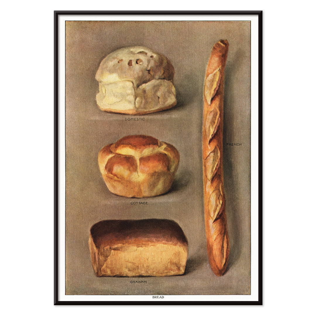 Assorted bread loaves including domestic cottage French and graham from The Grocers Encyclopedia vintage artwork collection of baked bread types poster, with black aluminium frame on white background
