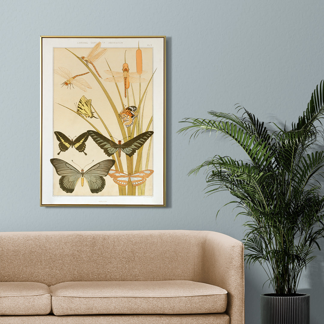 Colorful illustration and poster of butterflies and dragonflies among reeds in decorative style by Maurice Pillard Verneuil from Butterflies and Reeds, framed and displayed in home decor