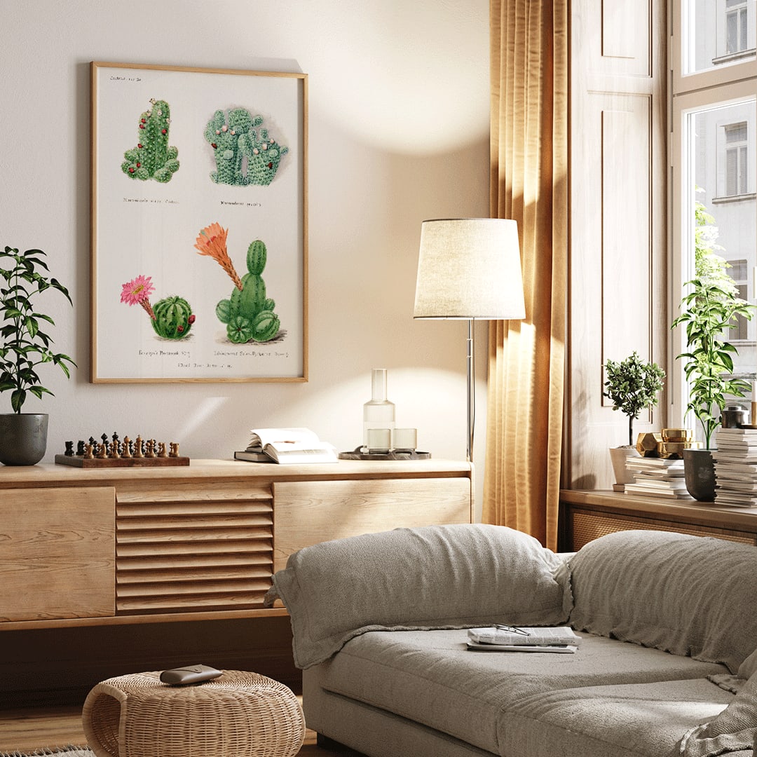 Assorted cacti illustration and poster by Familie Der Cacteen showing different cactus species with flowers, framed and displayed in home decor