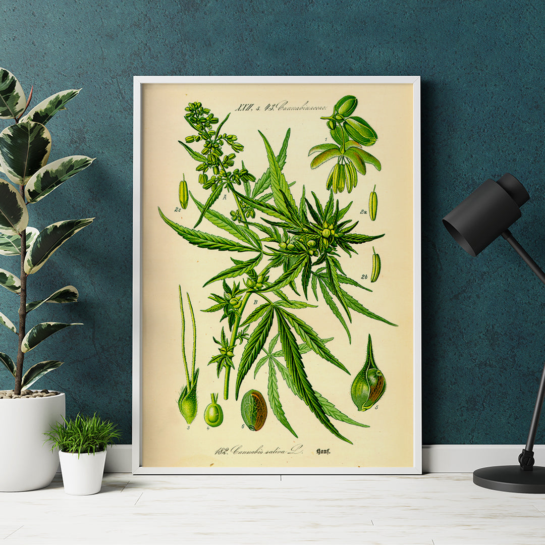 , framed and displayed in home decor