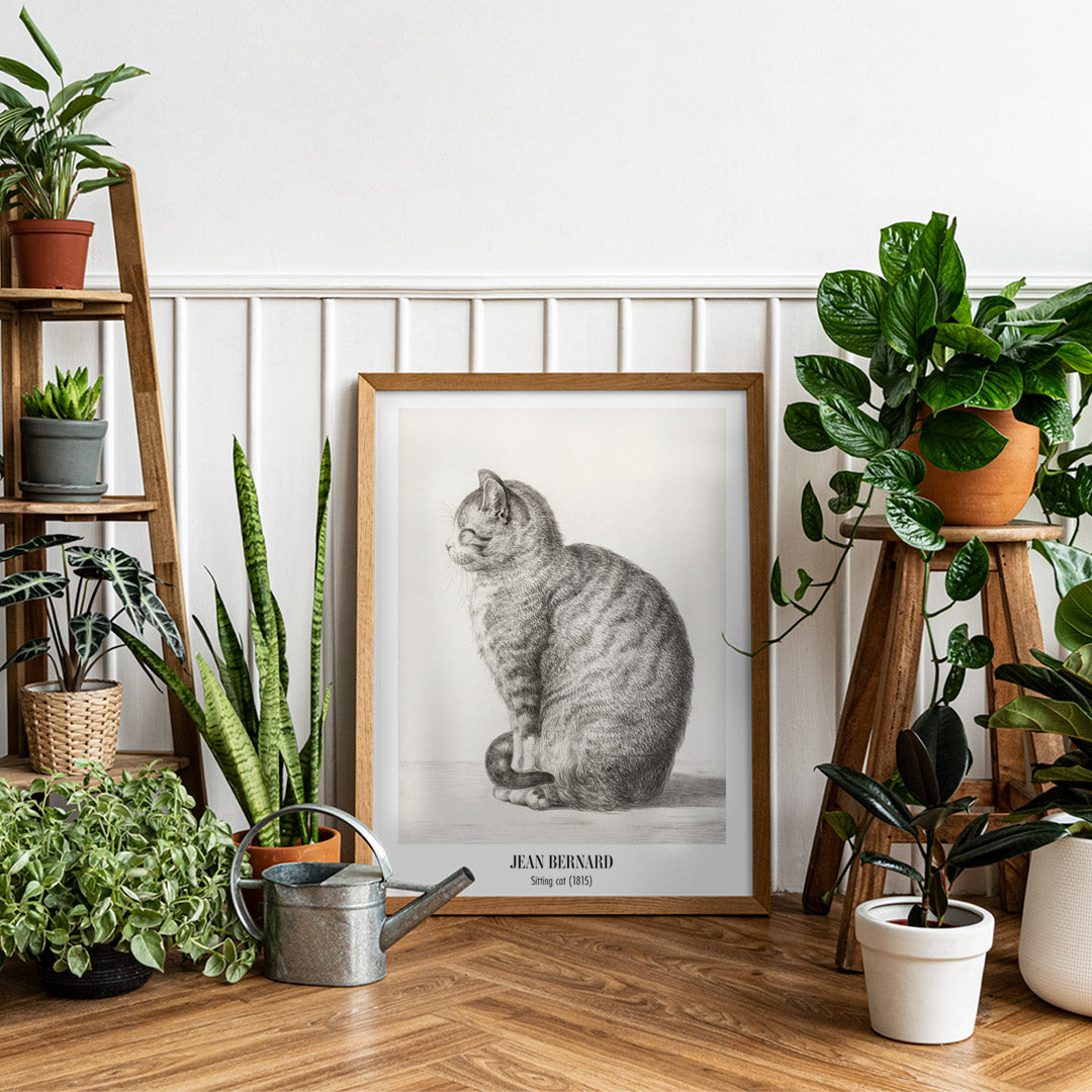 Detailed drawing of a sitting cat by Jean Bernard titled Sitting cat poster for home or office decor, framed and displayed in home decor