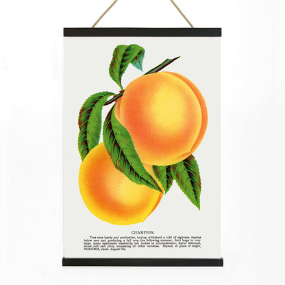 Champion plum and peach lithograph by Owen Jones from Botanical Specimen showing ripe yellow plums and peaches with green leaves, with wooden magnetic frame on white background
