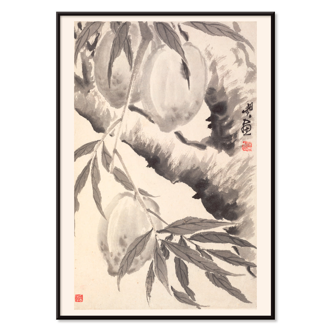 Chinese ink painting poster of peaches hanging from a branch in black ink wash style artwork by Min Zhen, with black aluminium frame on white background