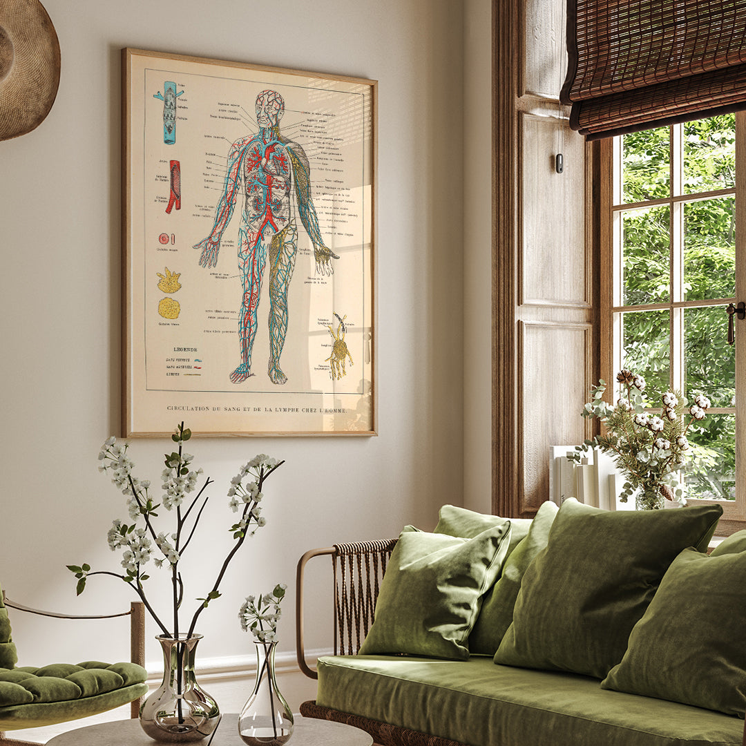 , framed and displayed in home decor