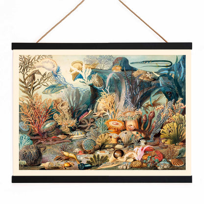 Vibrant underwater scene with colorful marine life plants and sea creatures artwork Ocean Life by James M Sommerville, with wooden magnetic frame on white background
