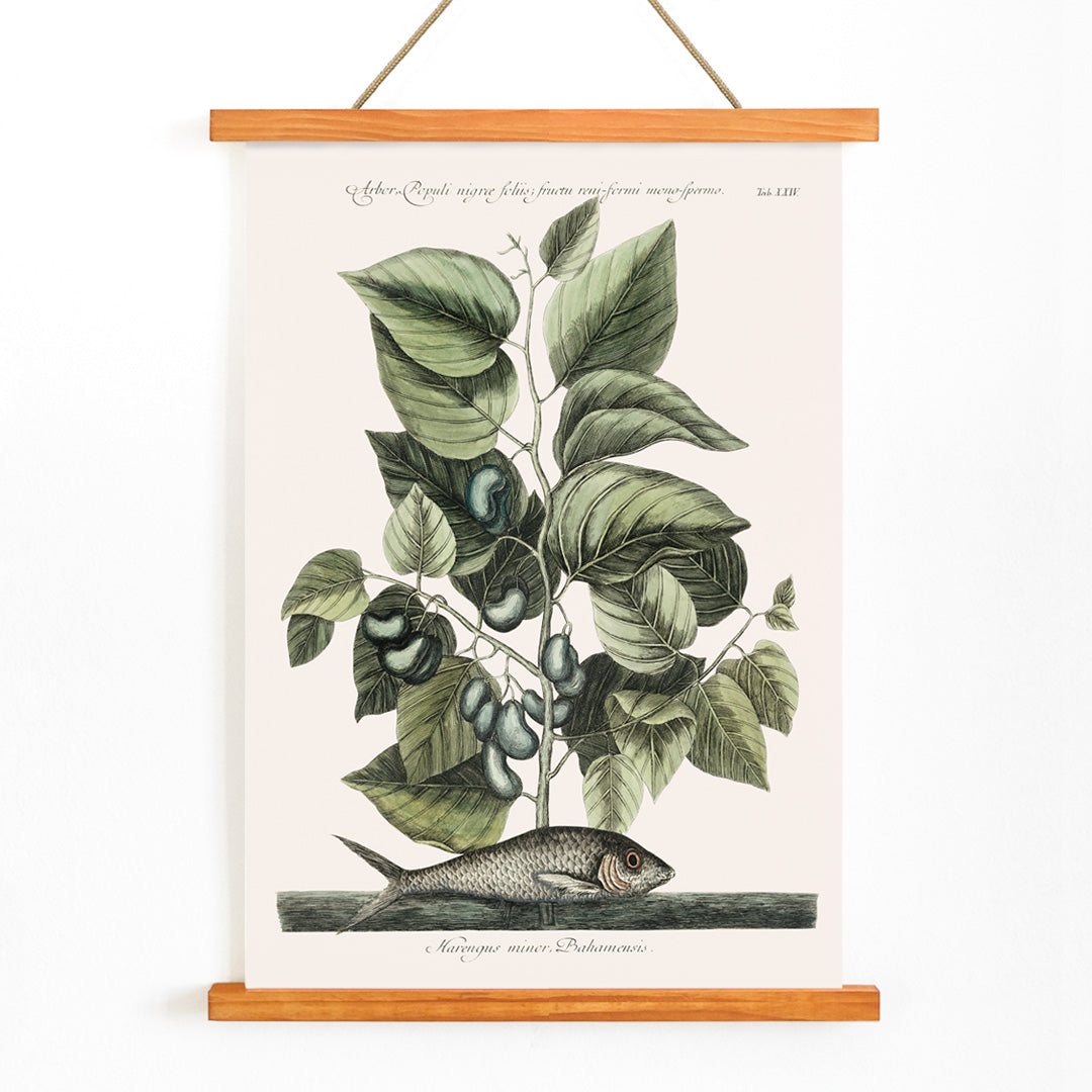 , with wooden magnetic frame on white background