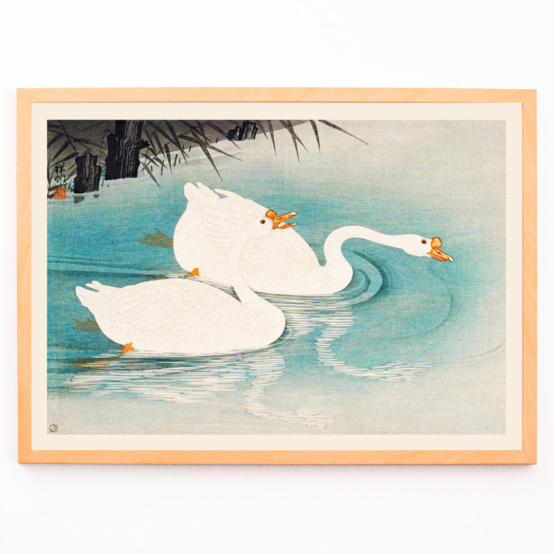 Closeup detail of White geese swimming among blue water and reeds Geese amid Reeds by Ohara Koson poster