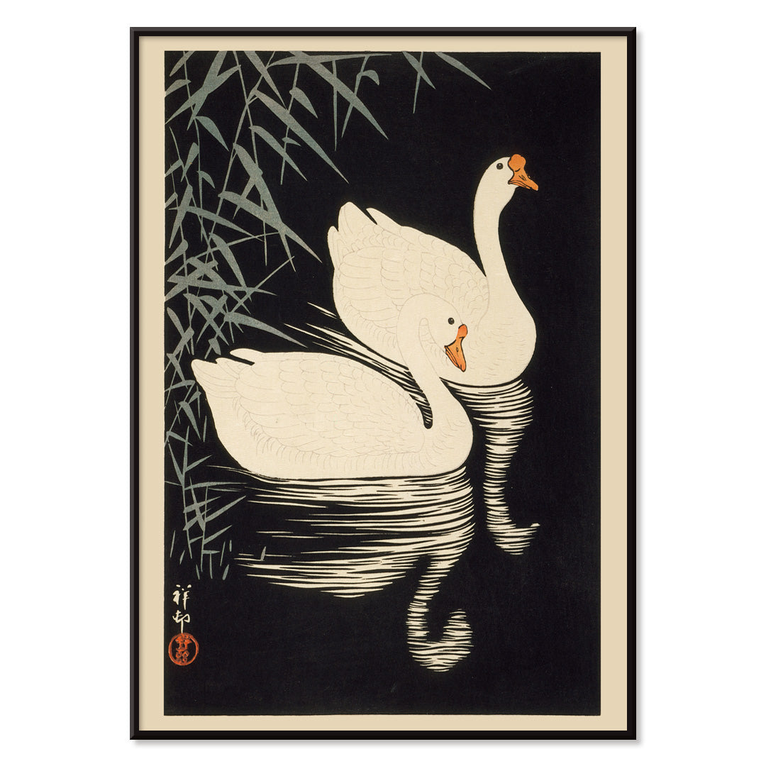 White Chinese Geese Swimming by Ohara Koson featuring two elegant white geese on water with bamboo leaves and reeds poster artwork, with black aluminium frame on white background