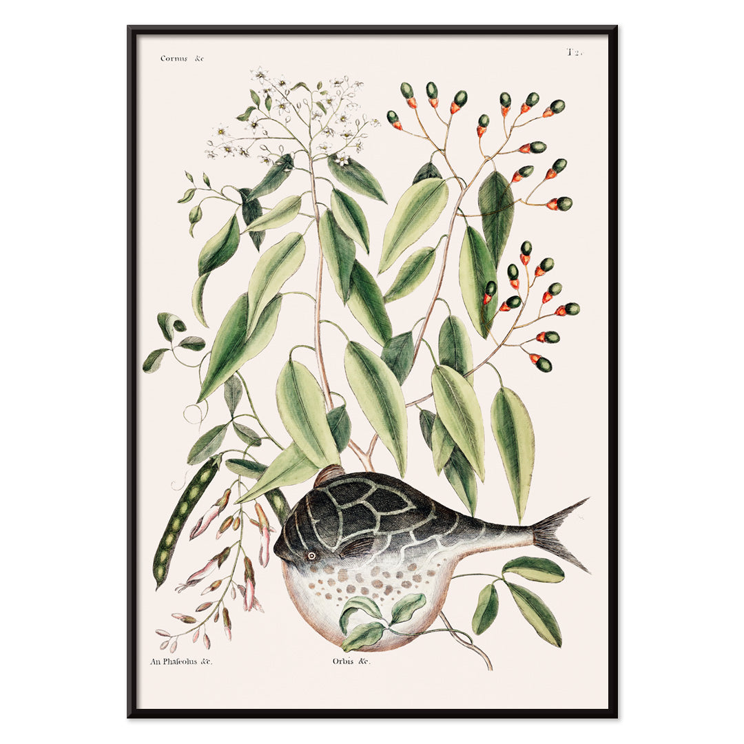 , with black aluminium frame on white background