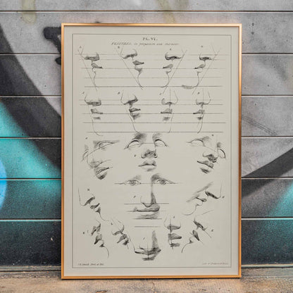 John Rubens Smith human figure drawing study poster with black and white facial feature sketches, framed and displayed in home decor