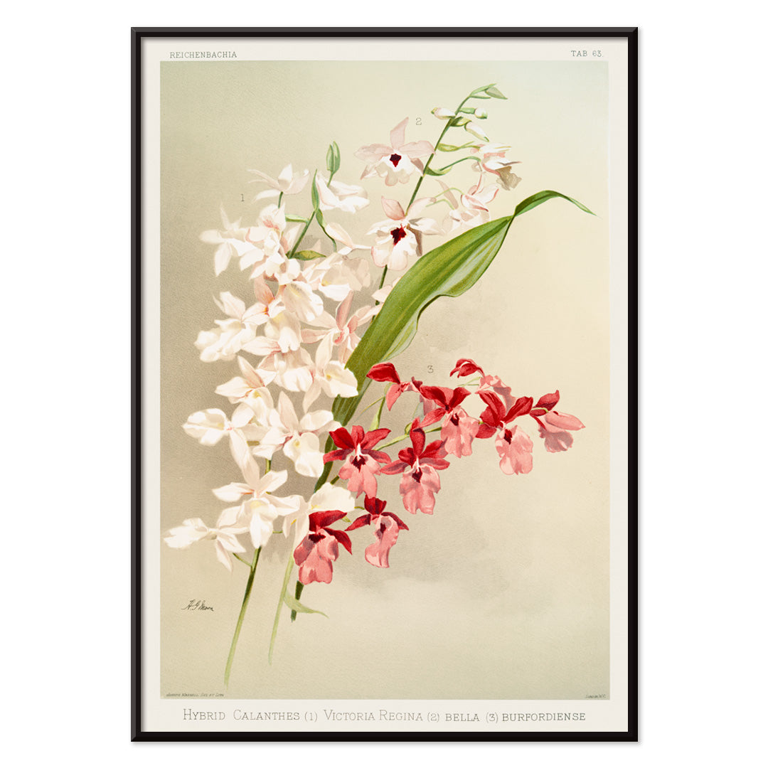 , with black aluminium frame on white background