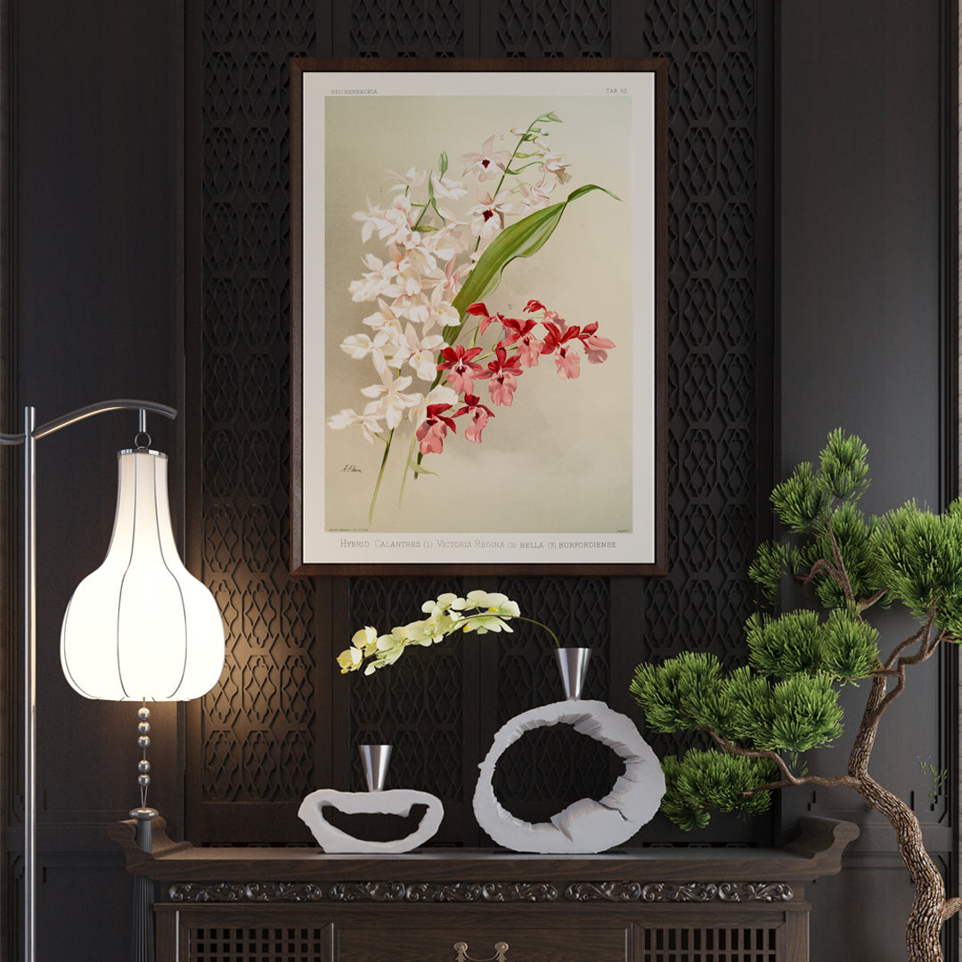 , framed and displayed in home decor