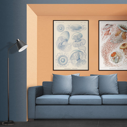 Detailed blue scientific illustration of Leptomedusae jellyfish by Ernst Haeckel poster wall decor, framed and displayed in home decor