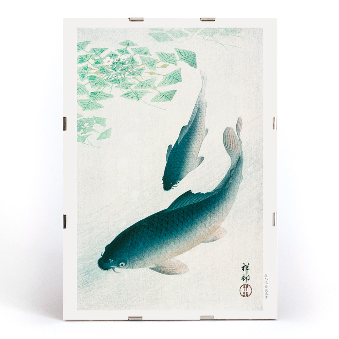 Two koi fish swimming under water plants and near green lily pads artwork by Ohara Koson serene Japanese style, framed and displayed in modern living room decor
