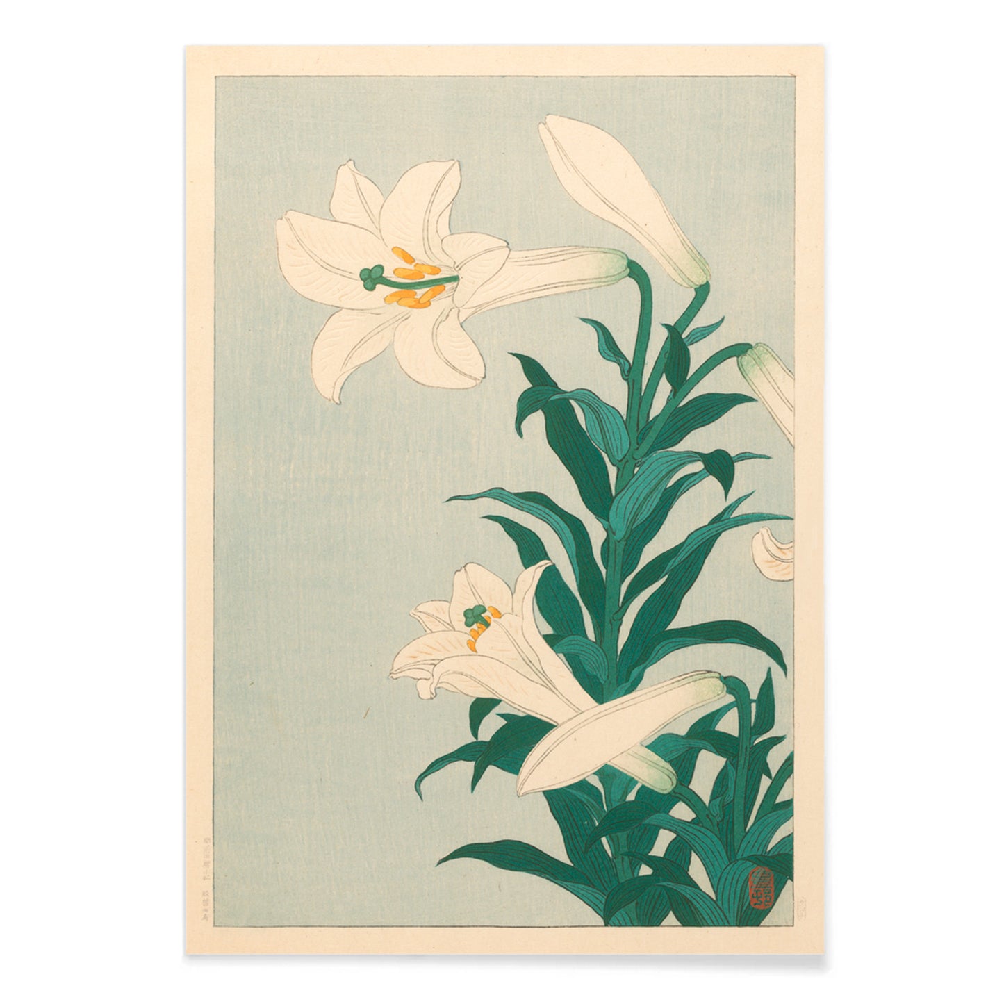 White lilies floral artwork by Ohara Koson with green leaves on light blue background poster Lelies flowers, with black aluminium frame on white background