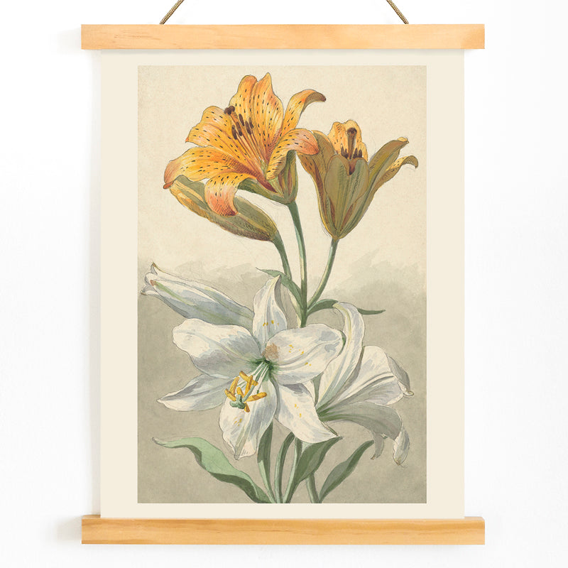 Yellow and white lilies botanical art by Willem van Leen poster floral artwork illustration, with wooden magnetic frame on white background