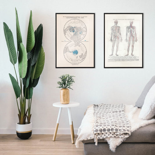 Vintage polar regions and glacier map illustrated artwork of Earth poles by Bibliographic institute of Liepzig, framed and displayed in home decor
