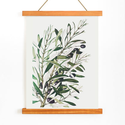 Olive branches botanical illustration and poster with green leaves and black olives by L Prang and Co from Picture Collection wall decor, with wooden magnetic frame on white background