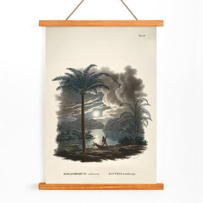 Tropical landscape with palm trees and river at sunset with canoe by Carl Friedrich Philipp von Martius from Historia Naturalis Palmarum Bactris acanthocarpa, with wooden magnetic frame on white background