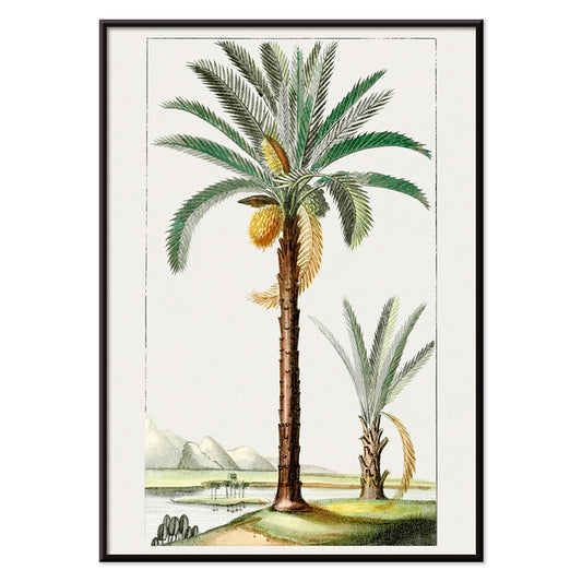 Hand drawn palm tree art print poster with detailed leaves and landscape background, with black aluminium frame on white background
