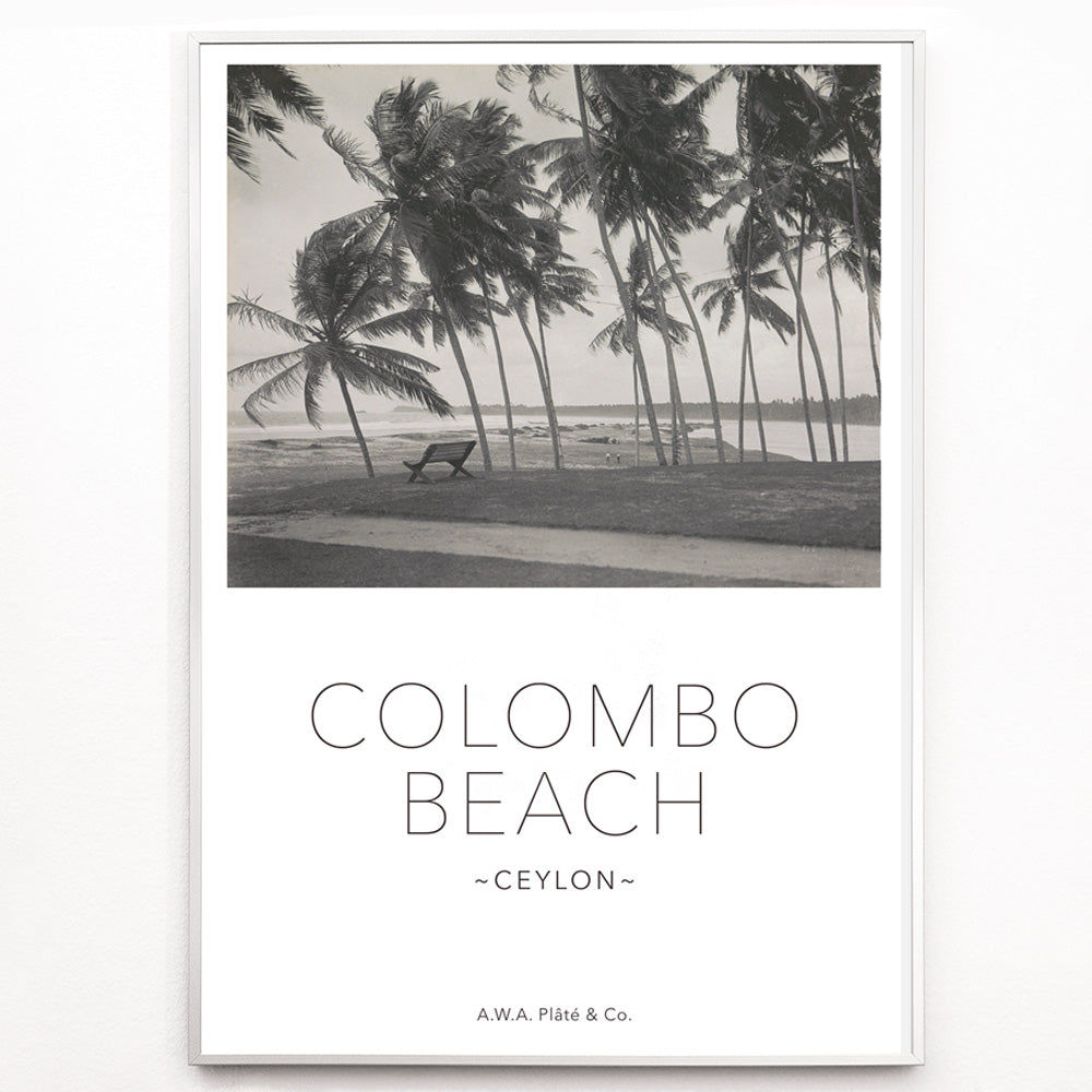 Closeup detail of Colombo Beach Ceylon poster with palm trees and empty bench artwork by AWA Plate and Co ideal for wall decor and travel themes