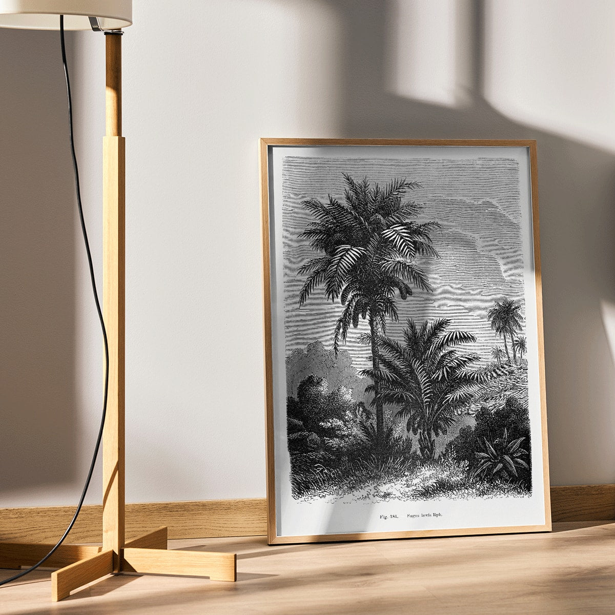 Black and white illustration of palm trees by Oswald de Kerchove de Denterghem from Les Palmiers Histoire Iconographique poster, framed and displayed in home decor