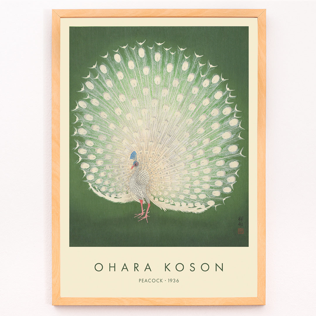 Closeup detail of Elegant white peacock with full plumage on green background artwork by Ohara Koson poster