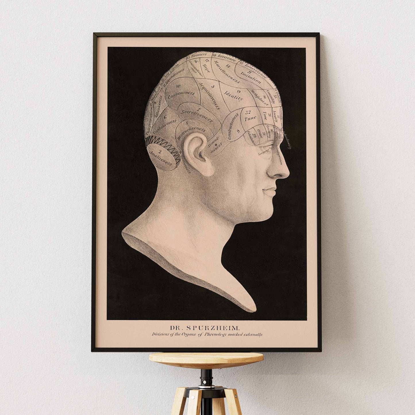Dr. Spurzheim Divisions of the organs of phrenology poster labeled human head profile vintage black and white, framed and displayed in modern living room decor