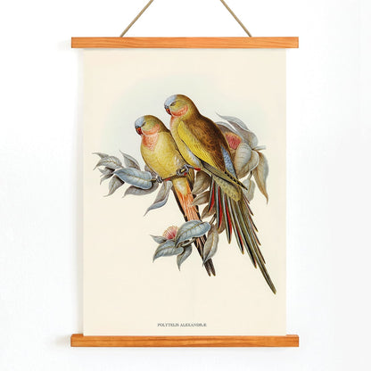 The Princess of Wales Parakeet Polytelis Alexandrae colorful birds on branches and leaves poster artwork, with wooden magnetic frame on white background