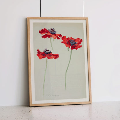 Three Studies of Poppies by Sophia Crownfield poster featuring vibrant red poppies on delicate stems and a light background artwork, framed and displayed in home decor