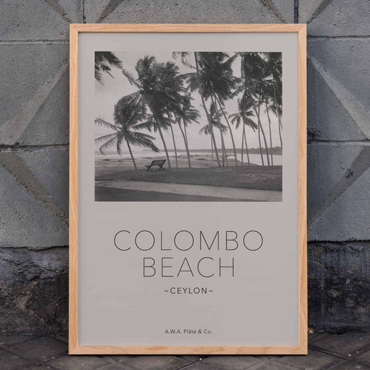 Colombo Beach Ceylon poster with palm trees and empty bench artwork by AWA Plate and Co ideal for wall decor and travel themes, framed and displayed in home decor