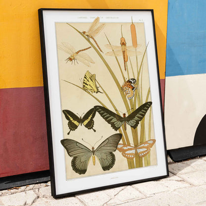 Colorful illustration and poster of butterflies and dragonflies among reeds in decorative style by Maurice Pillard Verneuil from Butterflies and Reeds, framed and displayed in home decor