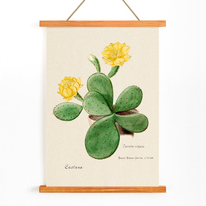 , with wooden magnetic frame on white background