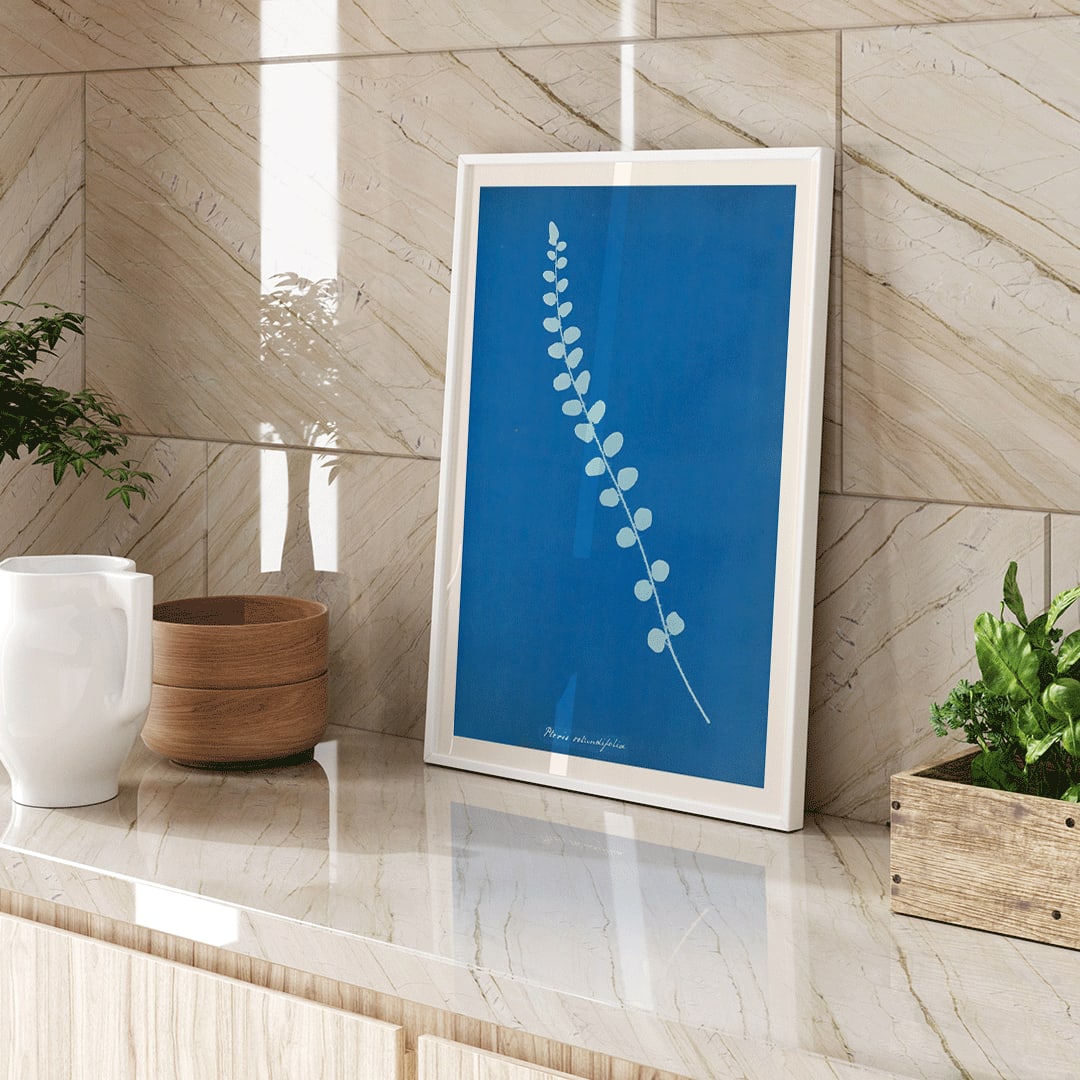 Botanical cyanotype print and poster of Pteris rotundifolia by Anna Atkins featuring a light blue fern leaf on dark blue background, framed and displayed in home decor