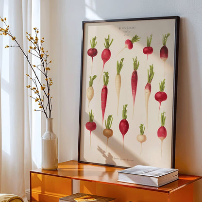 Poster of various radish illustrations from Album Benary by Ernst Benary featuring different shapes and colors, framed and displayed in modern living room decor
