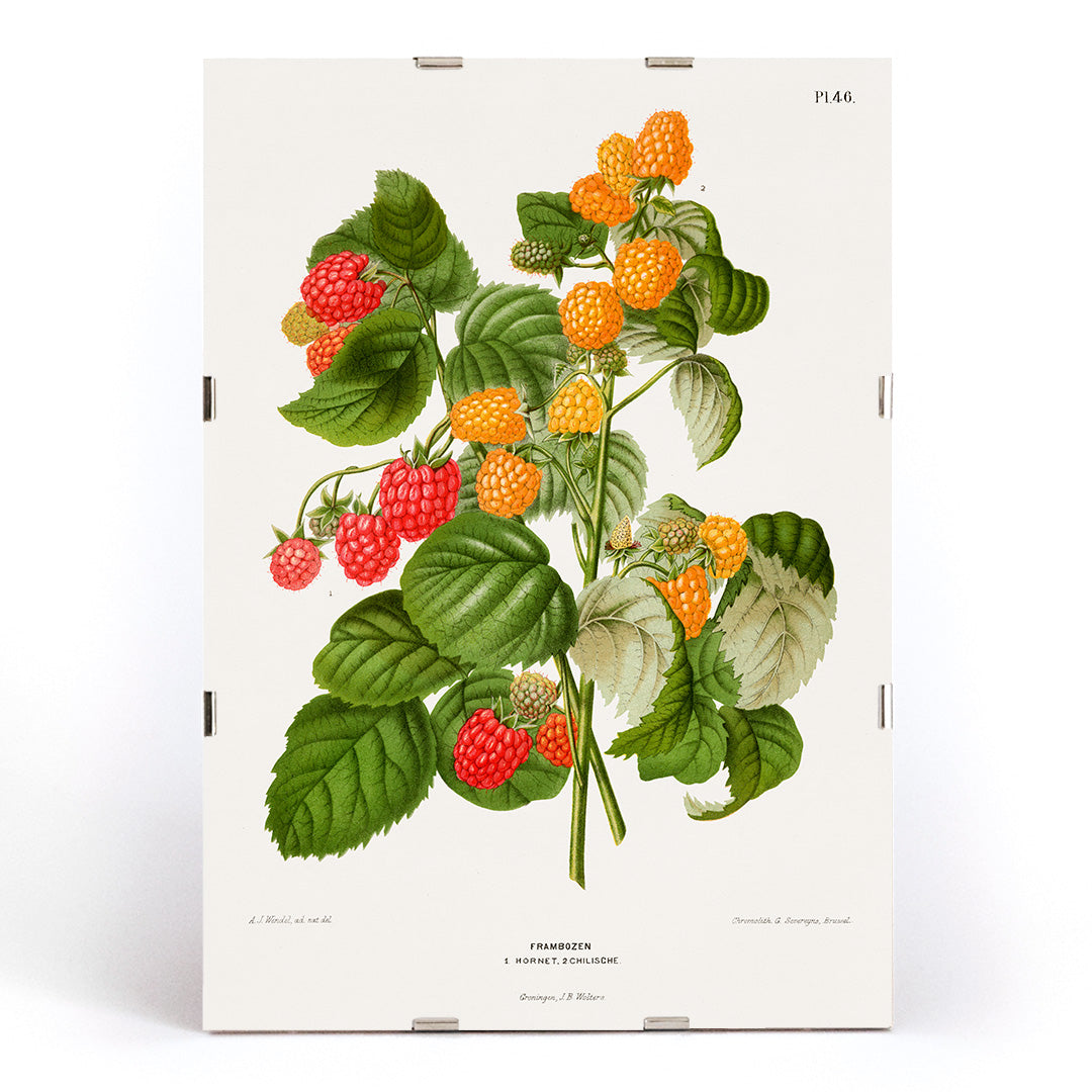 , framed and displayed in modern living room decor